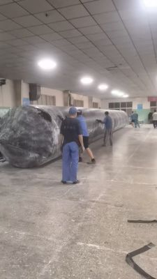 1m 30m ความยาว ความทนทานสูง Airbag ยางเรือสําหรับอุตสาหกรรมทางทะเลและการแก้ไขการช่วยเหลือเรือ